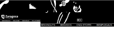 20081005121009-aytoaragones.png